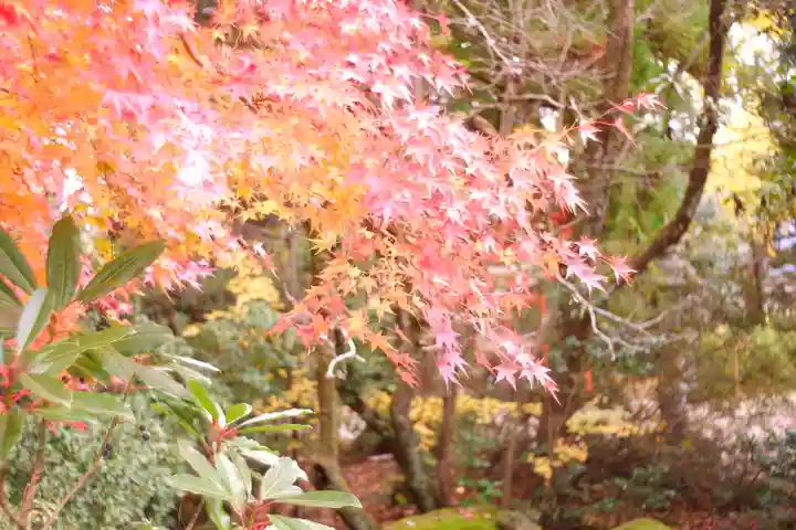 越中一宮 髙瀬神社(富山県)