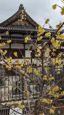大松禅寺(京都府)