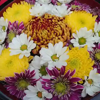 増上寺塔頭 三縁山 宝珠院の手水舎