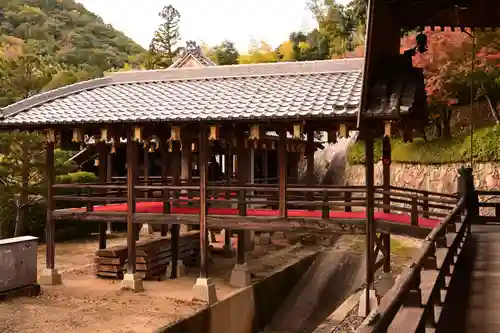 光明寺（粟生光明寺）(京都府)