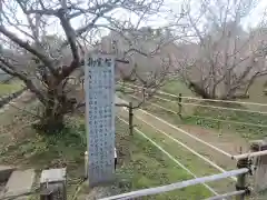 仁和寺(京都府)