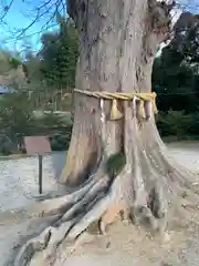 素鵞神社(茨城県)