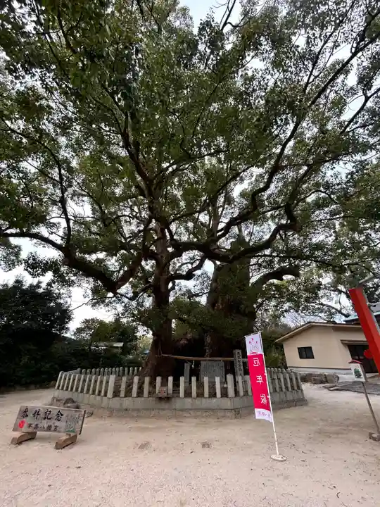 宇美八幡宮(福岡県)