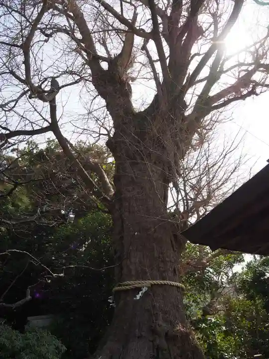 荏柄天神社(神奈川県)