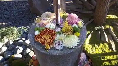 行田八幡神社(埼玉県)