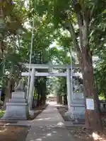 諏訪神社の鳥居