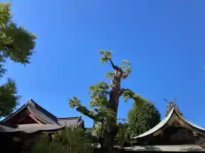 素盞雄神社(東京都)