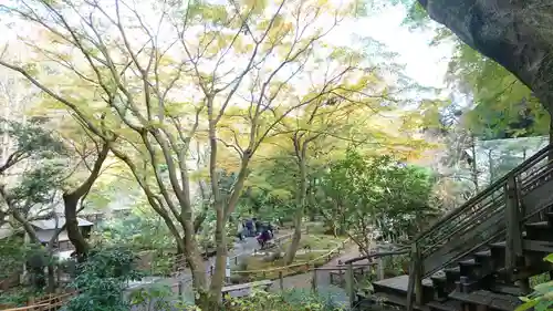 明月院の景色