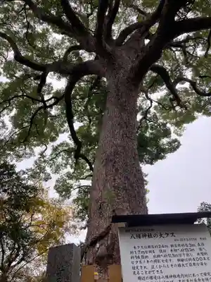 大市八幡神社(兵庫県)