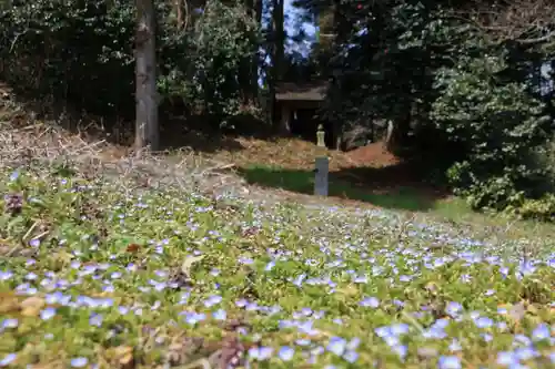 鹿島大神宮の自然
