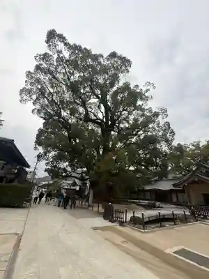 太宰府天満宮の{uncategorized: "未分類", other: "その他", undefined: "問題あり", building: "その他建物", grave: "お墓", sacred_gate: "鳥居", guardian: "狛犬", statue: "像", buddha: "仏像", history: "歴史", nature: "自然", garden: "庭園", animal: "動物", pagoda: "塔", temizu: "手水舎", mountain_gate: "山門・神門", sanctuary: "本殿・本堂", subordinate: "末社・摂社", art: "芸術", scenery: "景色", jizo: "地蔵", ema: "絵馬", goshuin: "御朱印", omikuji: "おみくじ", items: "授与品その他", amulet: "お守り", goshuincho: "御朱印帳", eats: "食事", festival: "お祭り", votive_dance: "神楽", shichigosan: "七五三参", wedding: "結婚式", experience: "体験その他", initially: "初詣", around: "周辺", anti_infection: "感染症対策"}