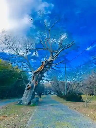 金村別雷神社のその他建物