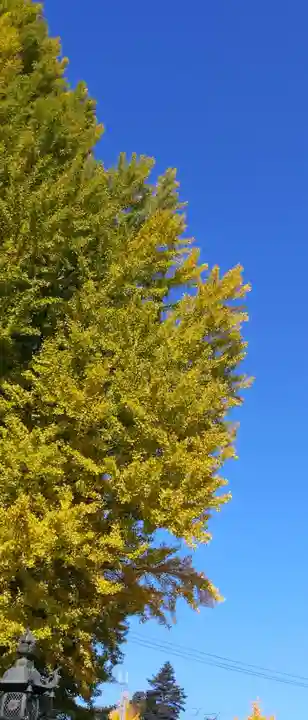 熊野大社(山形県)