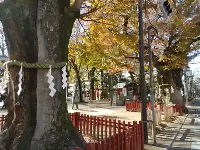 大國魂神社(東京都)