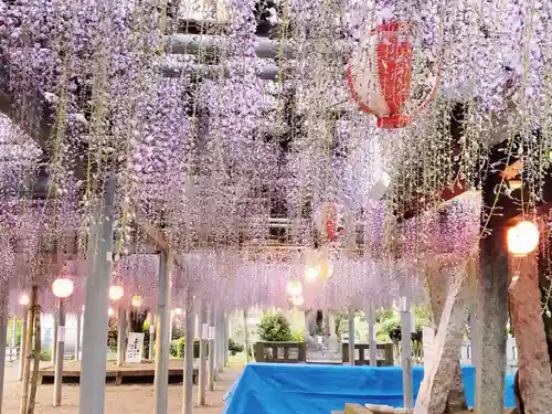 天満神社の庭園