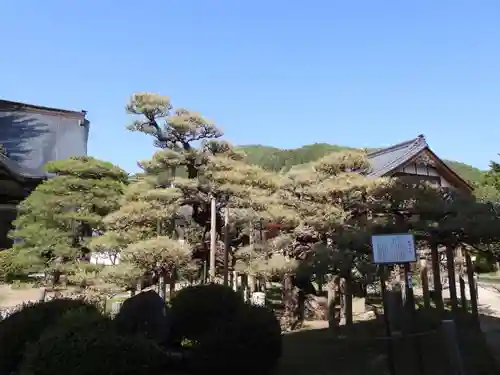 満光寺(長野県)