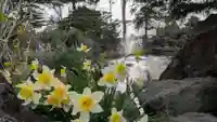 北海道護國神社の自然