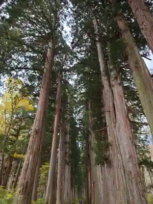 戸隠神社奥社(長野県)
