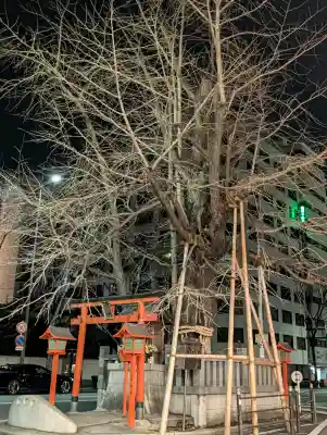 龍王大神の{uncategorized: "未分類", other: "その他", undefined: "問題あり", building: "その他建物", grave: "お墓", sacred_gate: "鳥居", guardian: "狛犬", statue: "像", buddha: "仏像", history: "歴史", nature: "自然", garden: "庭園", animal: "動物", pagoda: "塔", temizu: "手水舎", mountain_gate: "山門・神門", sanctuary: "本殿・本堂", subordinate: "末社・摂社", art: "芸術", scenery: "景色", jizo: "地蔵", ema: "絵馬", goshuin: "御朱印", omikuji: "おみくじ", items: "授与品その他", amulet: "お守り", goshuincho: "御朱印帳", eats: "食事", festival: "お祭り", votive_dance: "神楽", shichigosan: "七五三参", wedding: "結婚式", experience: "体験その他", initially: "初詣", around: "周辺", anti_infection: "感染症対策"}