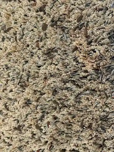 常陸国出雲大社の{uncategorized: "未分類", other: "その他", undefined: "問題あり", building: "その他建物", grave: "お墓", sacred_gate: "鳥居", guardian: "狛犬", statue: "像", buddha: "仏像", history: "歴史", nature: "自然", garden: "庭園", animal: "動物", pagoda: "塔", temizu: "手水舎", mountain_gate: "山門・神門", sanctuary: "本殿・本堂", subordinate: "末社・摂社", art: "芸術", scenery: "景色", jizo: "地蔵", ema: "絵馬", goshuin: "御朱印", omikuji: "おみくじ", items: "授与品その他", amulet: "お守り", goshuincho: "御朱印帳", eats: "食事", festival: "お祭り", votive_dance: "神楽", shichigosan: "七五三参", wedding: "結婚式", experience: "体験その他", initially: "初詣", around: "周辺", anti_infection: "感染症対策"}