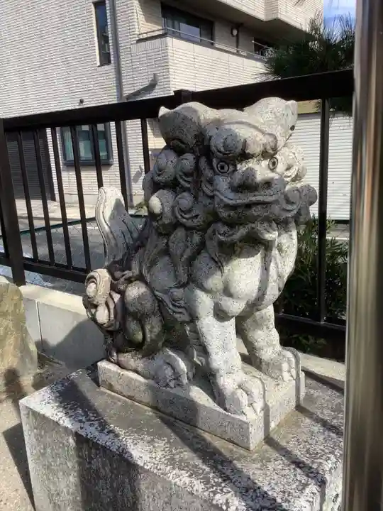 白山神社(中郷)の狛犬