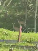 別保神社(北海道)