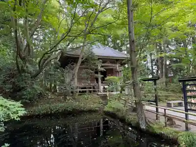 中尊寺金色堂(岩手県)