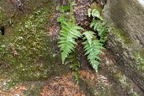 諏訪大社(長野県)