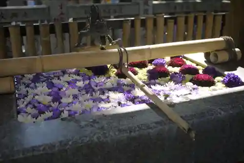 高円寺氷川神社の手水舎