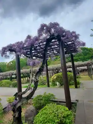 玉敷神社(埼玉県)