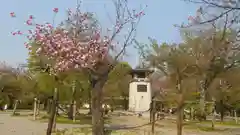 八坂神社(祇園さん)の庭園