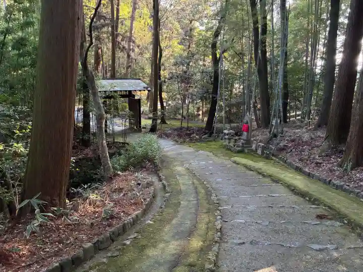 正伝護国禅寺(正伝寺・正傳寺)の{uncategorized: "未分類", other: "その他", undefined: "問題あり", building: "その他建物", grave: "お墓", sacred_gate: "鳥居", guardian: "狛犬", statue: "像", buddha: "仏像", history: "歴史", nature: "自然", garden: "庭園", animal: "動物", pagoda: "塔", temizu: "手水舎", mountain_gate: "山門・神門", sanctuary: "本殿・本堂", subordinate: "末社・摂社", art: "芸術", scenery: "景色", jizo: "地蔵", ema: "絵馬", goshuin: "御朱印", omikuji: "おみくじ", items: "授与品その他", amulet: "お守り", goshuincho: "御朱印帳", eats: "食事", festival: "お祭り", votive_dance: "神楽", shichigosan: "七五三参", wedding: "結婚式", experience: "体験その他", initially: "初詣", around: "周辺", anti_infection: "感染症対策"}