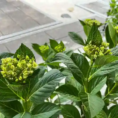 松本山 地福禅寺(滋賀県)