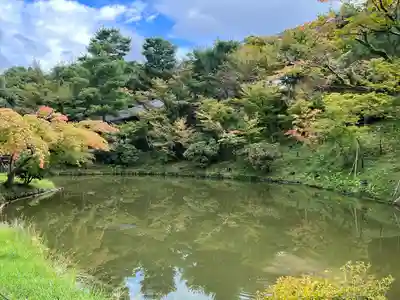 高台寺（高台寿聖禅寺・高臺寺）(京都府)