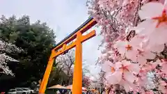 平野神社(京都府)