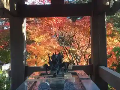 常陸国出雲大社の手水舎