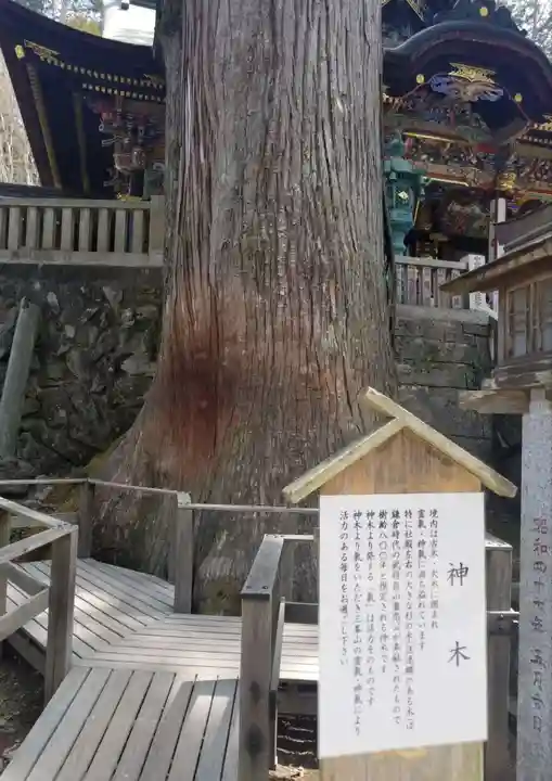 三峯神社の自然