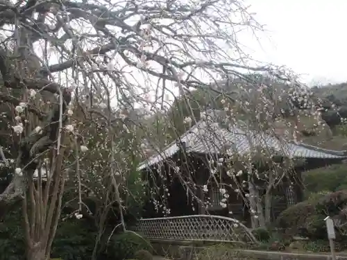海蔵寺のその他建物
