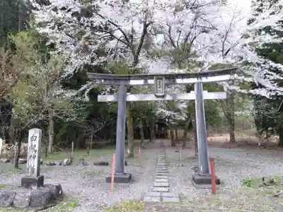 白龍神社(福井県)