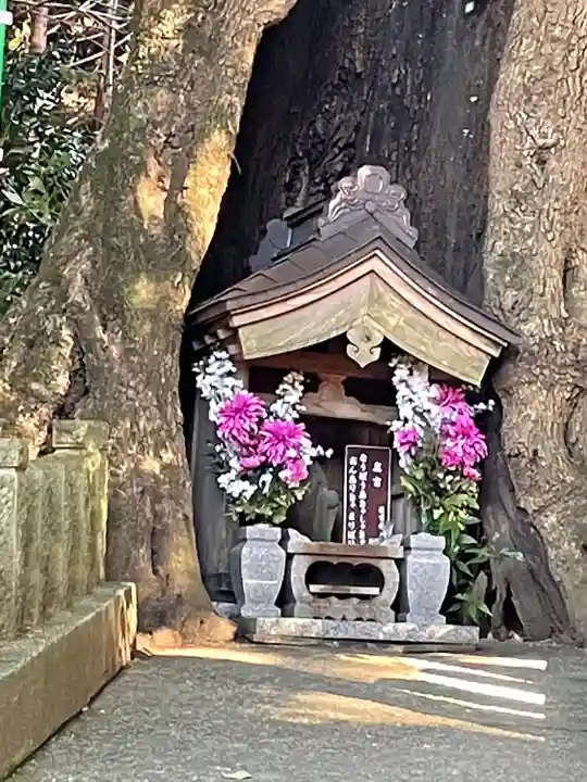 宝城坊(神奈川県)