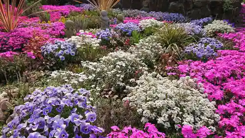 寿量山　速成寺の庭園