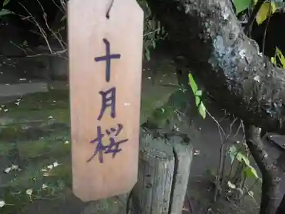 東慶寺のその他建物