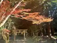 白山神社(滋賀県)