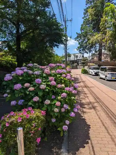 観泉寺(東京都)