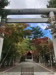 遠軽神社の鳥居