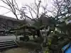香園寺(愛媛県)
