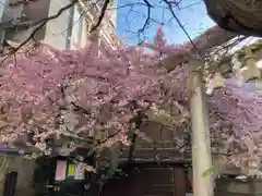 元三島神社の自然