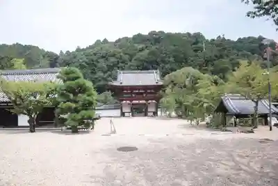金剛寺(大阪府)
