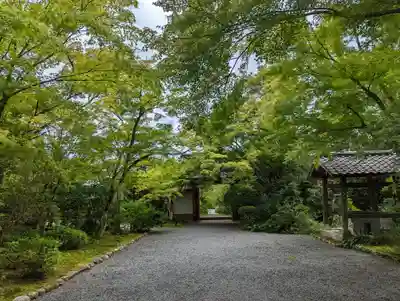 常照寺(京都府)