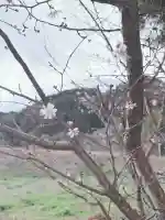 葛城一言主神社の{uncategorized: "未分類", other: "その他", undefined: "問題あり", building: "その他建物", grave: "お墓", sacred_gate: "鳥居", guardian: "狛犬", statue: "像", buddha: "仏像", history: "歴史", nature: "自然", garden: "庭園", animal: "動物", pagoda: "塔", temizu: "手水舎", mountain_gate: "山門・神門", sanctuary: "本殿・本堂", subordinate: "末社・摂社", art: "芸術", scenery: "景色", jizo: "地蔵", ema: "絵馬", goshuin: "御朱印", omikuji: "おみくじ", items: "授与品その他", amulet: "お守り", goshuincho: "御朱印帳", eats: "食事", festival: "お祭り", votive_dance: "神楽", shichigosan: "七五三参", wedding: "結婚式", experience: "体験その他", initially: "初詣", around: "周辺", anti_infection: "感染症対策"}